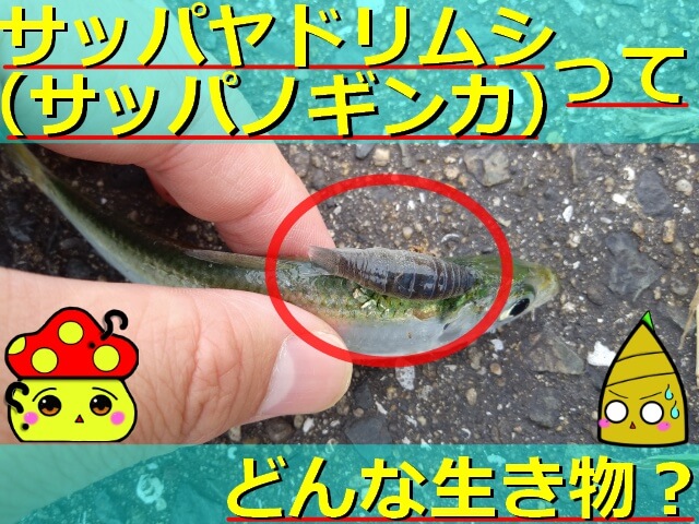 Thumbnail of post image 074